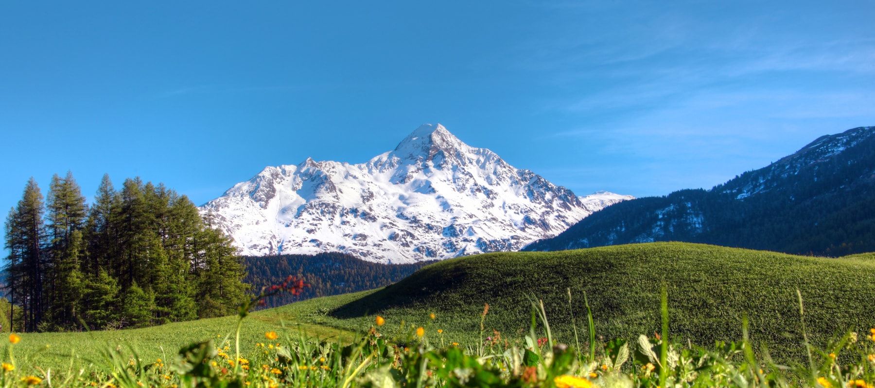 Sommer-Sölden-Nederkogel